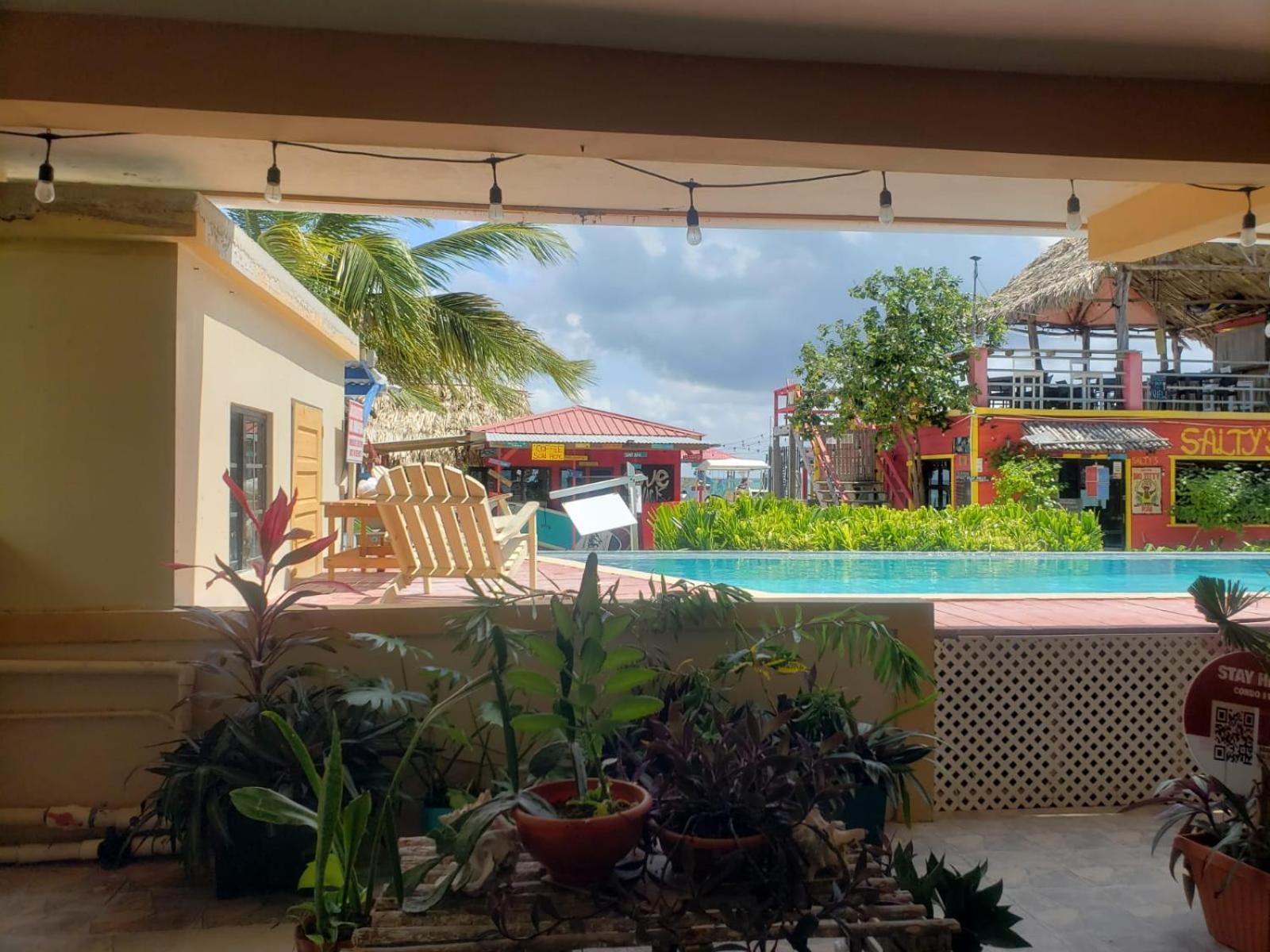 Beach Club Condos At Popeyes Caye Caulker Eksteriør billede